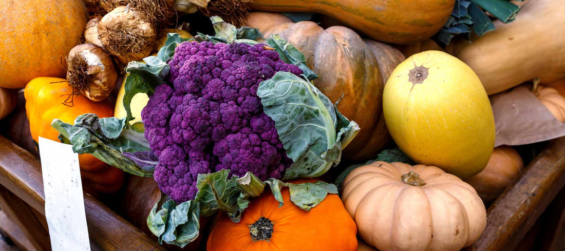 7 aliments d’automne pour booster son énergie et mieux récupérer