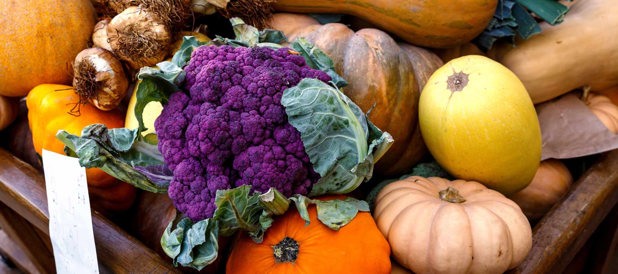 7 aliments d’automne pour booster son énergie et mieux récupérer