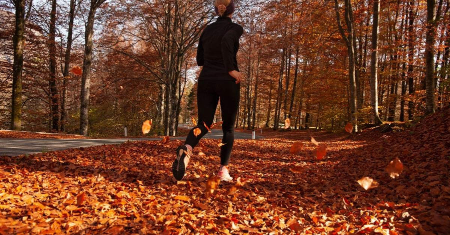 Coureur sur une route en forêt à l’automne pendant une sortie running régulière